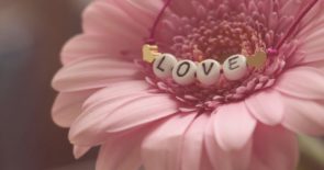 love-3388622_1920